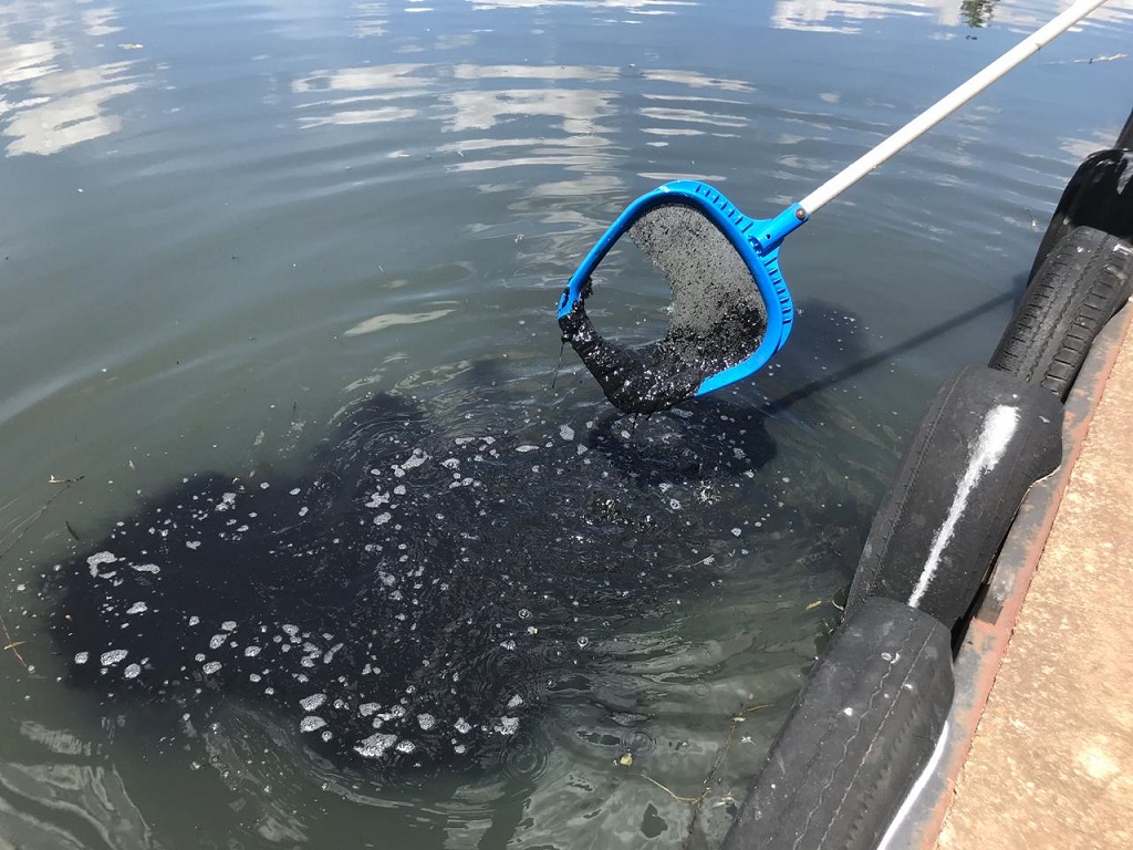 PICTURES FROM THE FIELD - 11 November 2019 | eNCA